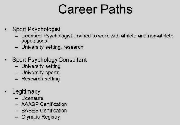 PhD life – A career in research, a gateway into the applied world, or ...