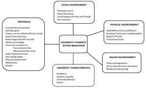 _Figure 1 Factors influencing eating behaviours of university students_CN