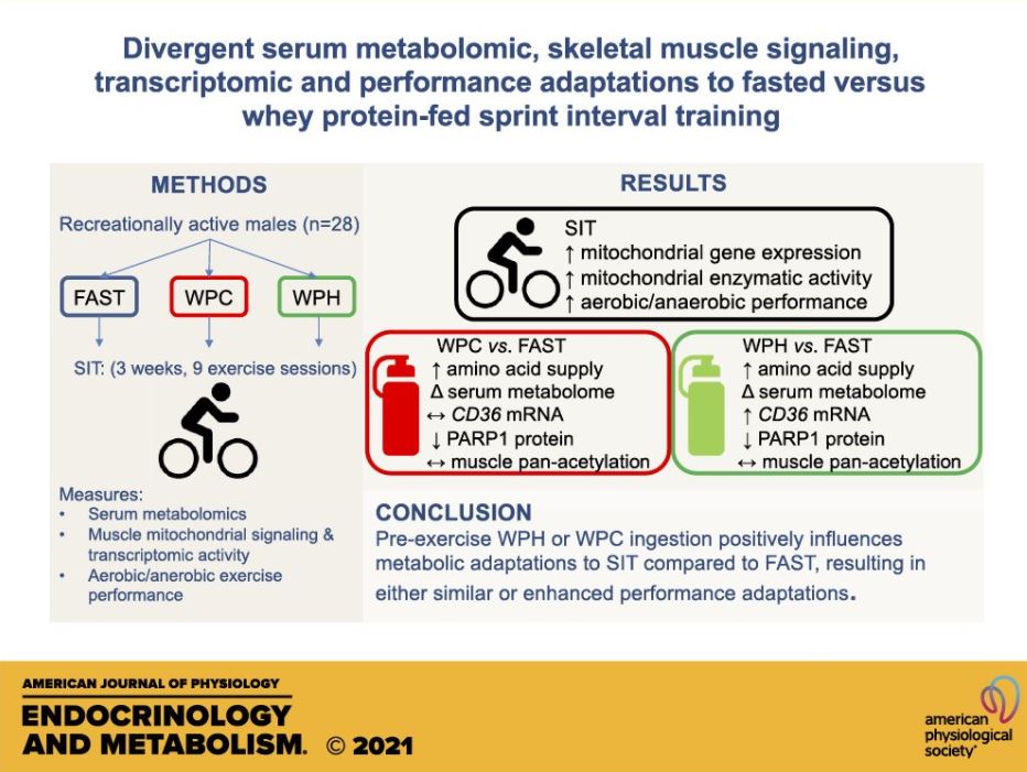 Publication: “Divergent serum metabolomic, skeletal muscle signalling ...